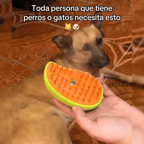 Cepillo Vapor Pelos para Mascotas