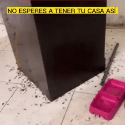 Gel Anticucarachas Efectivo